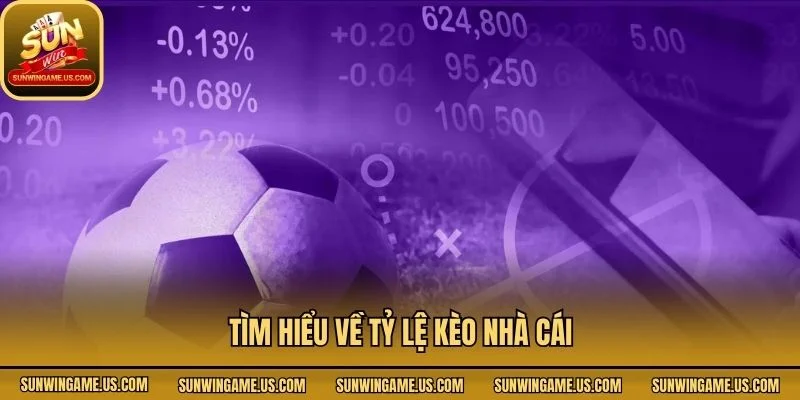 Tìm hiểu về tỷ lệ kèo nhà cái